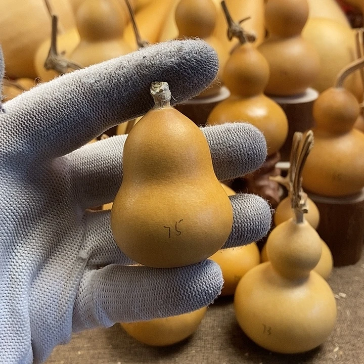 文玩葫芦 完美主义者 慎拍75