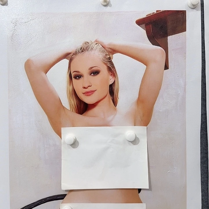 金寨画作欣赏作品