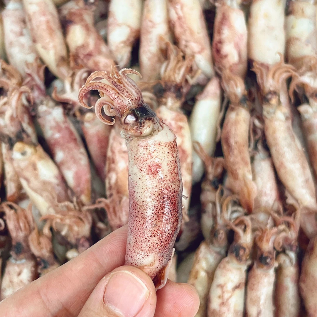 北海鱿鱼脆筒 本港小鱿筒海兔鱿鱼干