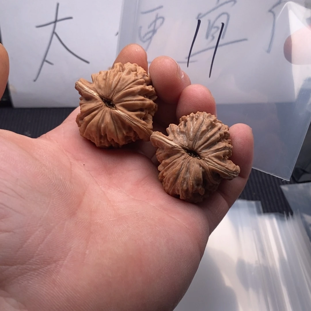 核桃哈哈哈哈哈哈哈哈哈哈