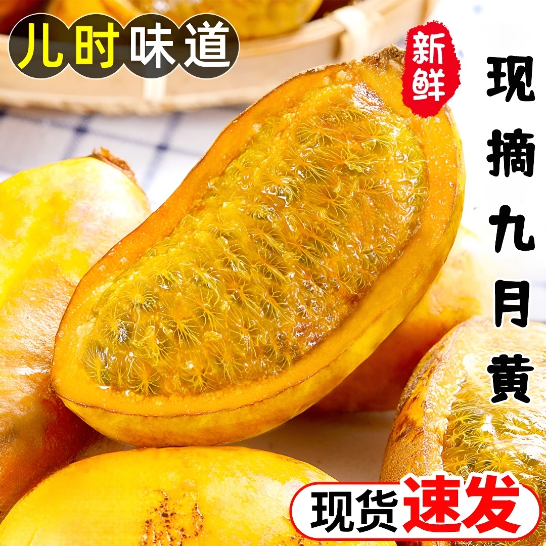 新鲜九月黄罕见水果九月瓜当季网红现摘预知子木通果拿藤包整箱