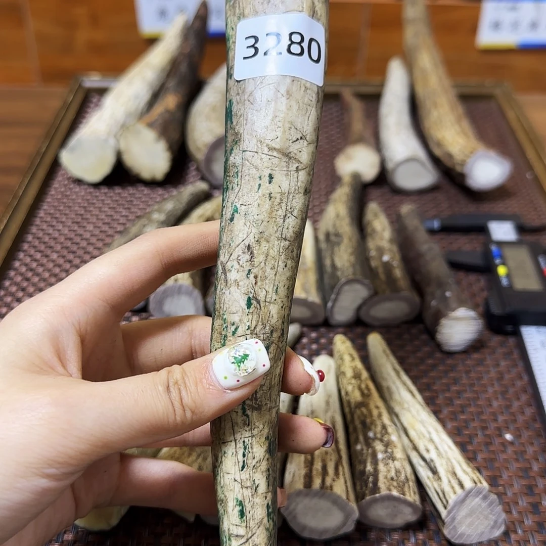 鹿骨手串/手链角尖3280