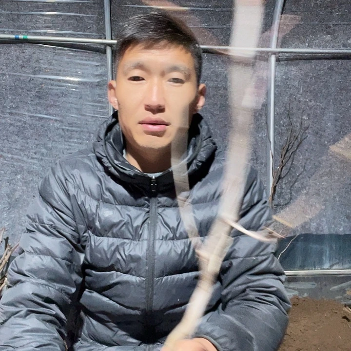 用***7龙潘一物一拍苗树
