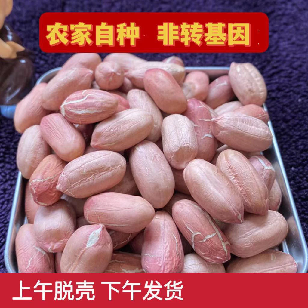 河南大花生纯干新鲜优质无壳花生仁
