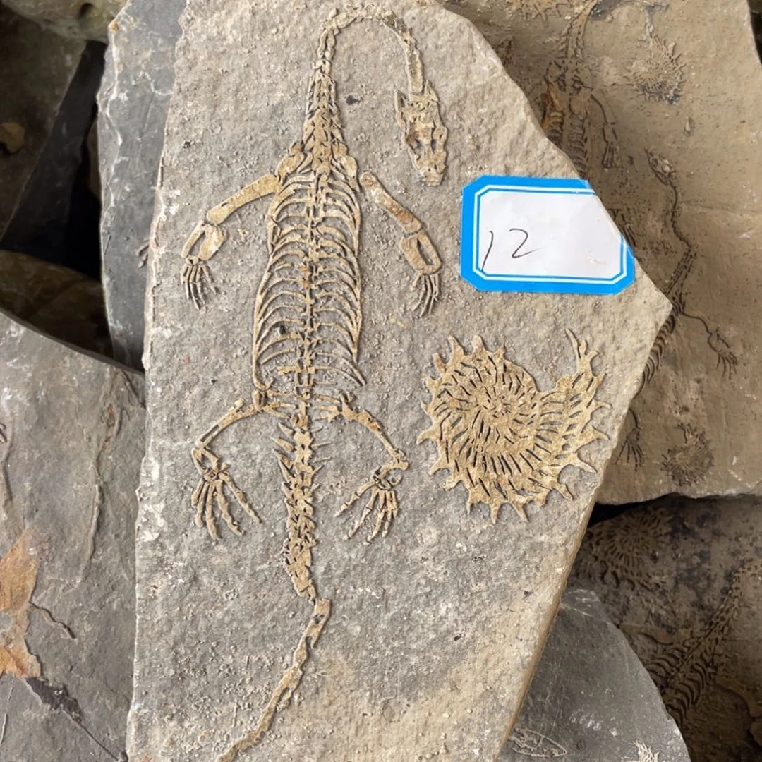 石材1222222222222222222222