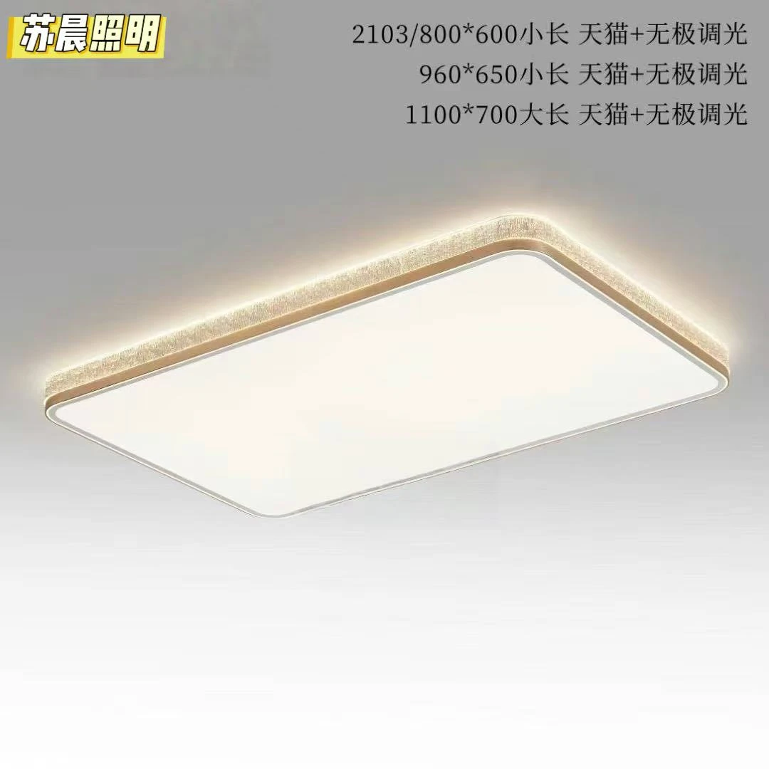 【苏晨照明】意式极简客卧吸顶灯家用主灯亚克力大气遥控轻奢家居灯