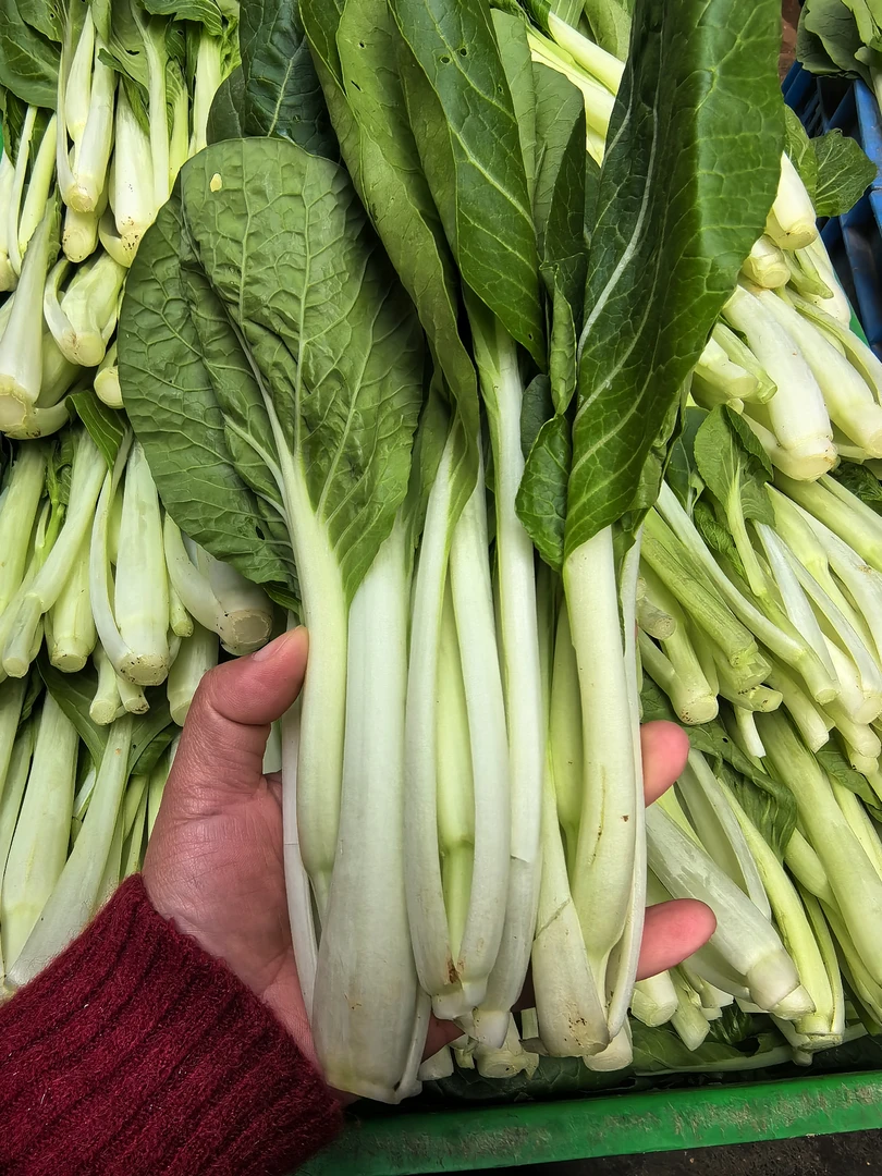 清远连州农家菜小白菜 奶白菜5斤/10斤（顺丰快递）