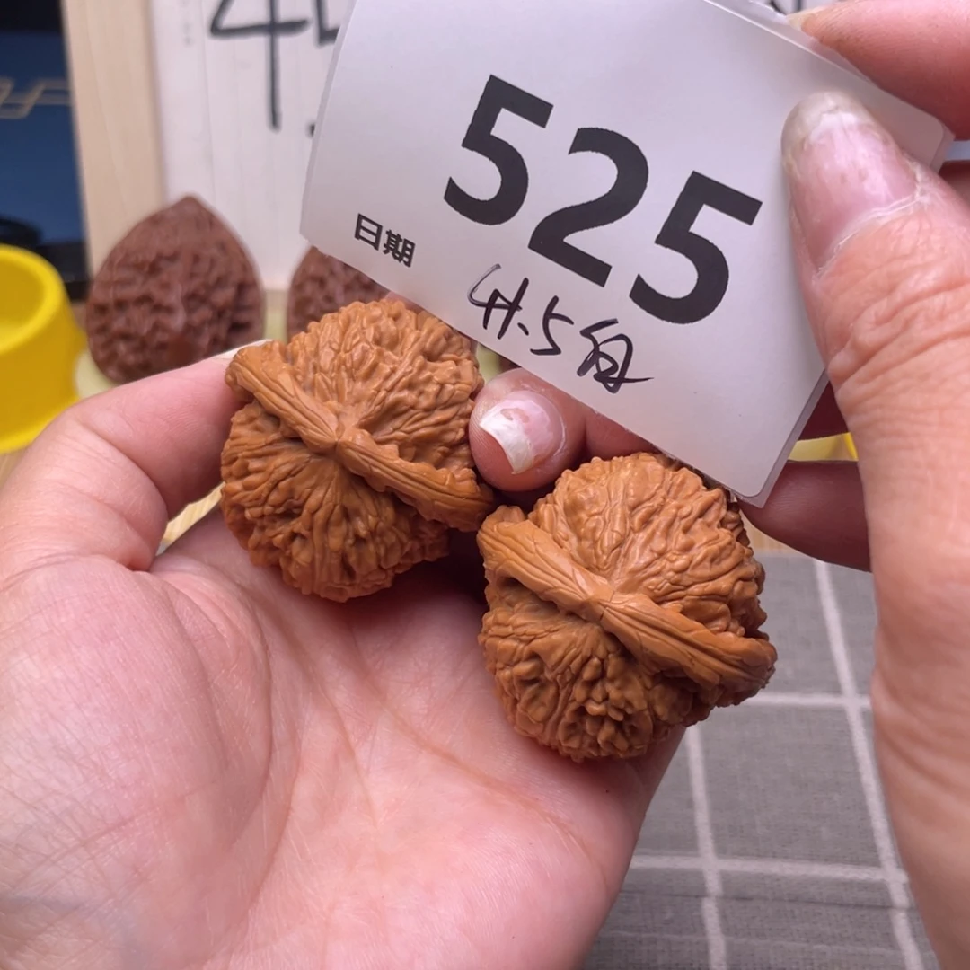 把件文玩核桃525号41.5白狮子