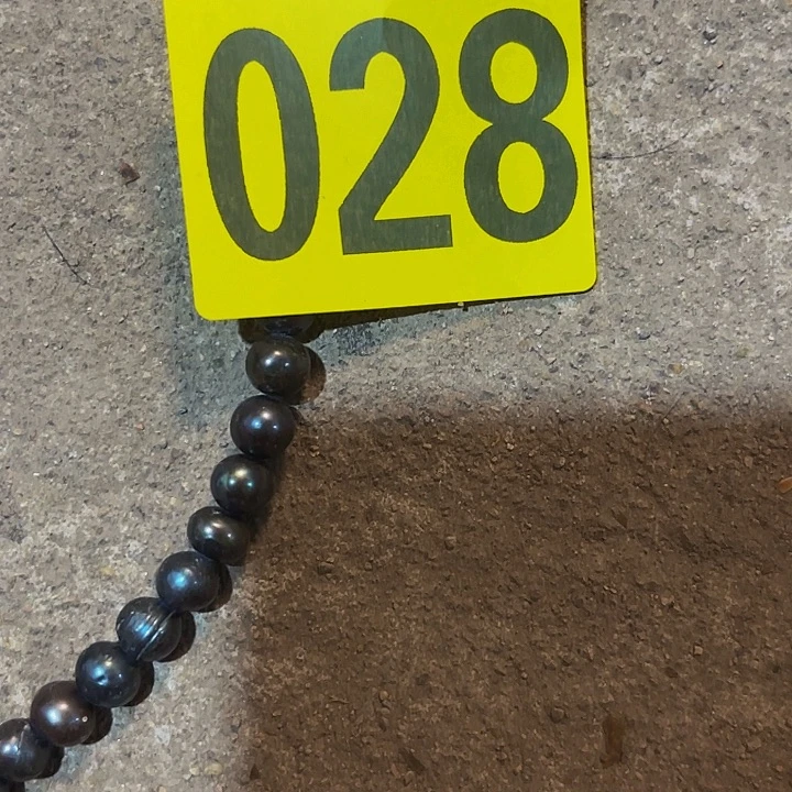 香榧木米*民俗老物件陈列