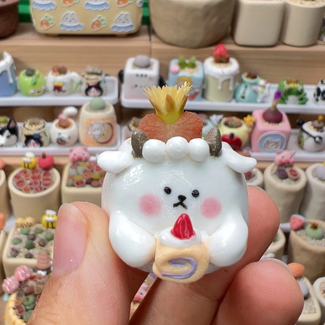 多肉植物101号拇指盆