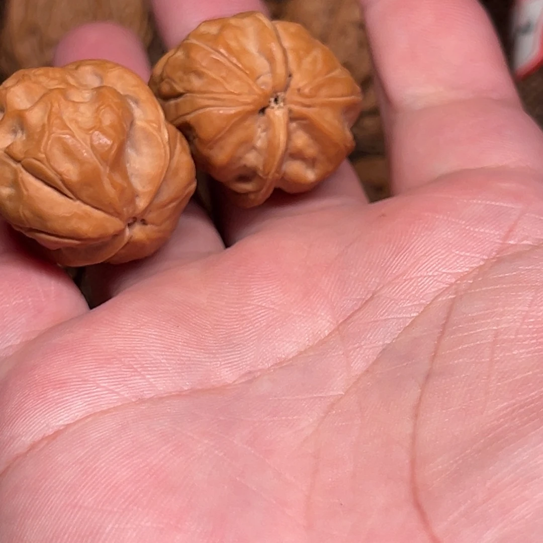 加*水晶蛤蟆 小尺寸手捻