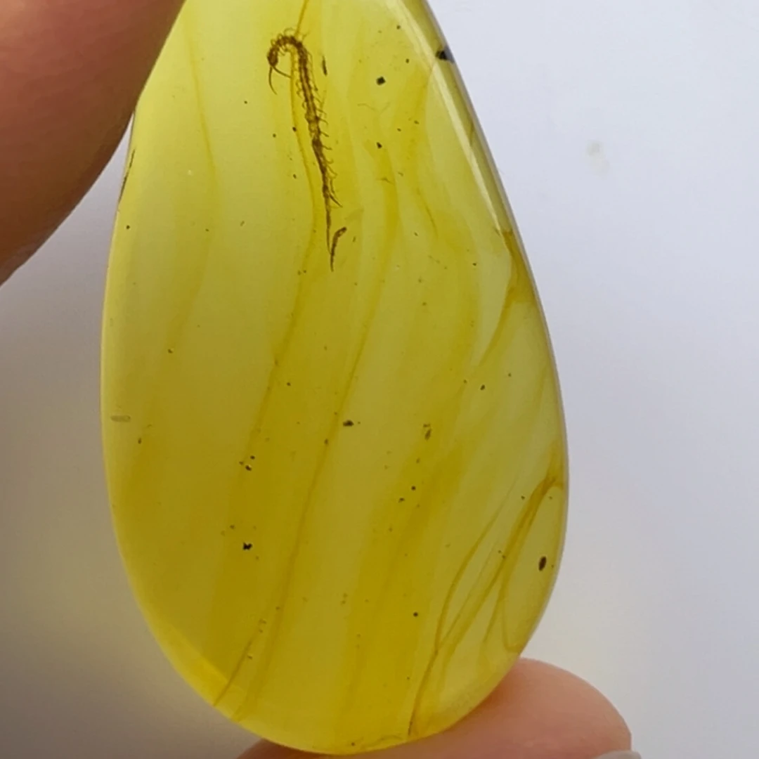 未镶嵌琥珀裸石琥珀虫珀