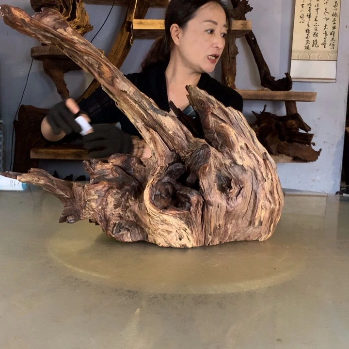 ****宝天然的云南紫柚木会黄水