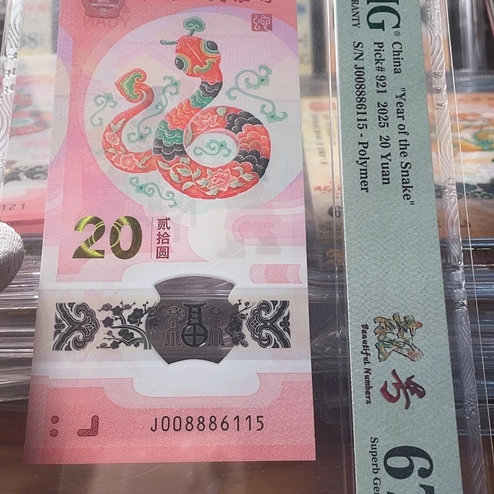 塑料金马 008886115