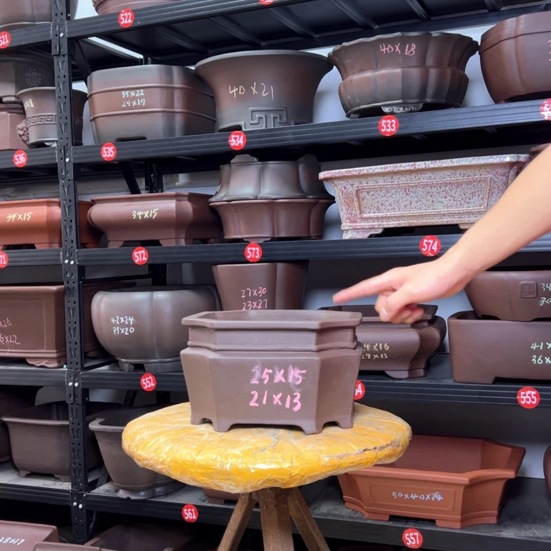 紫砂花盆呜呜呜呜