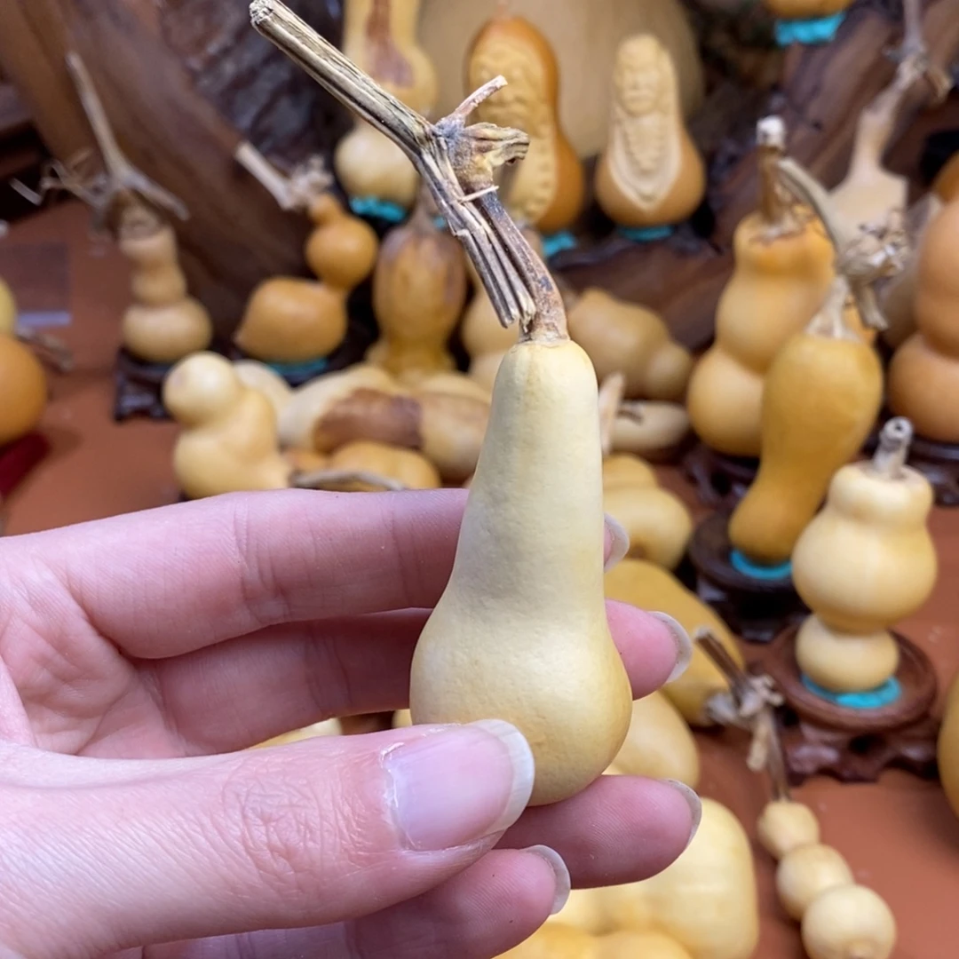 靖***海啦啦啦噜啦噜教练咯