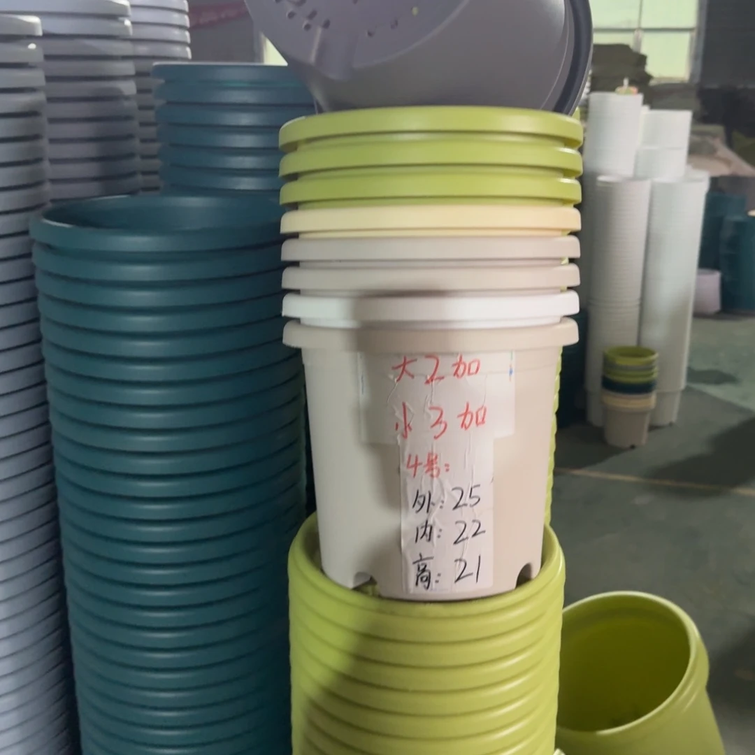 四季4#口径25无拖果绿8个