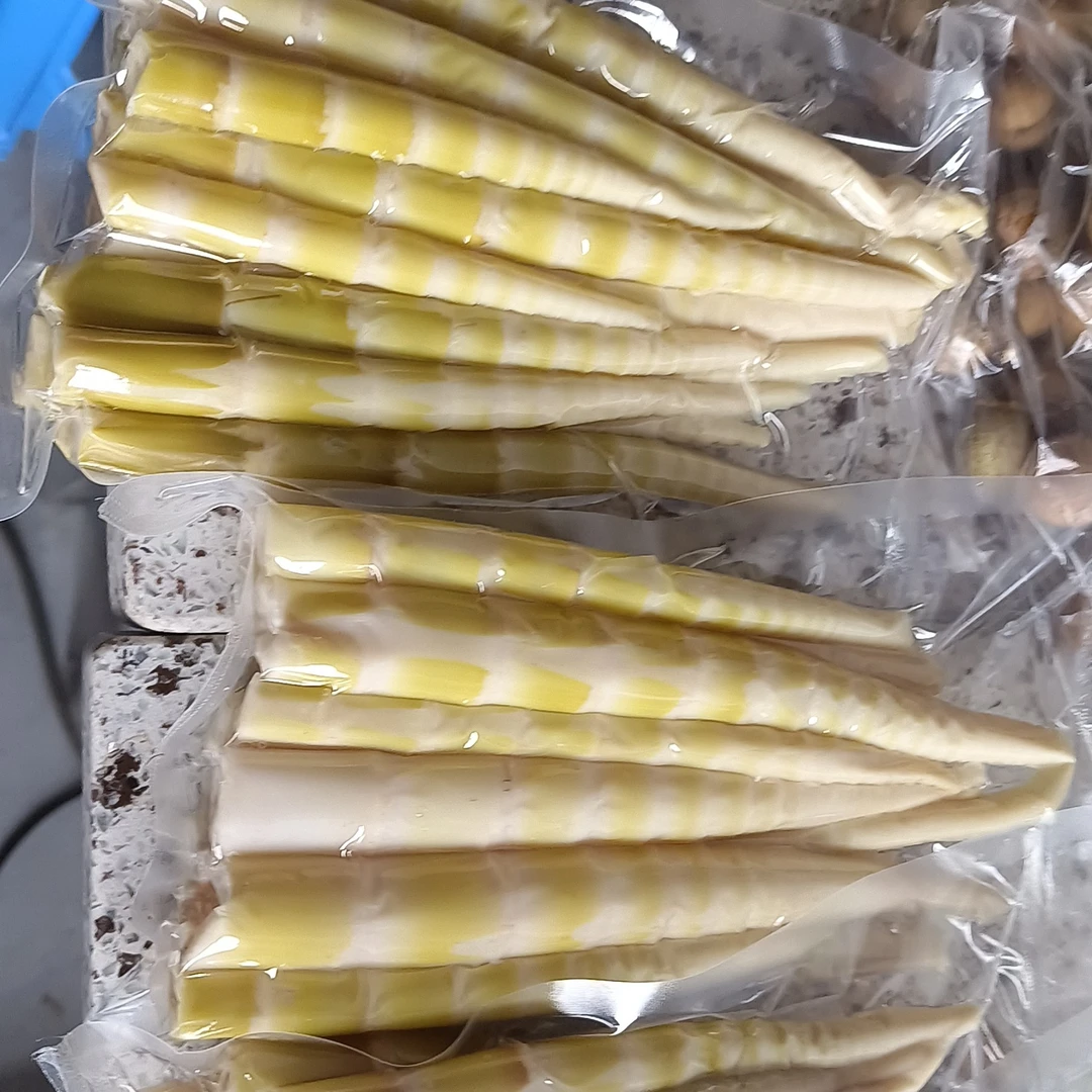 2025新鲜竹笋小竹笋八月笋尖春笋脆笋火锅凉拌的商用食材顺丰包邮