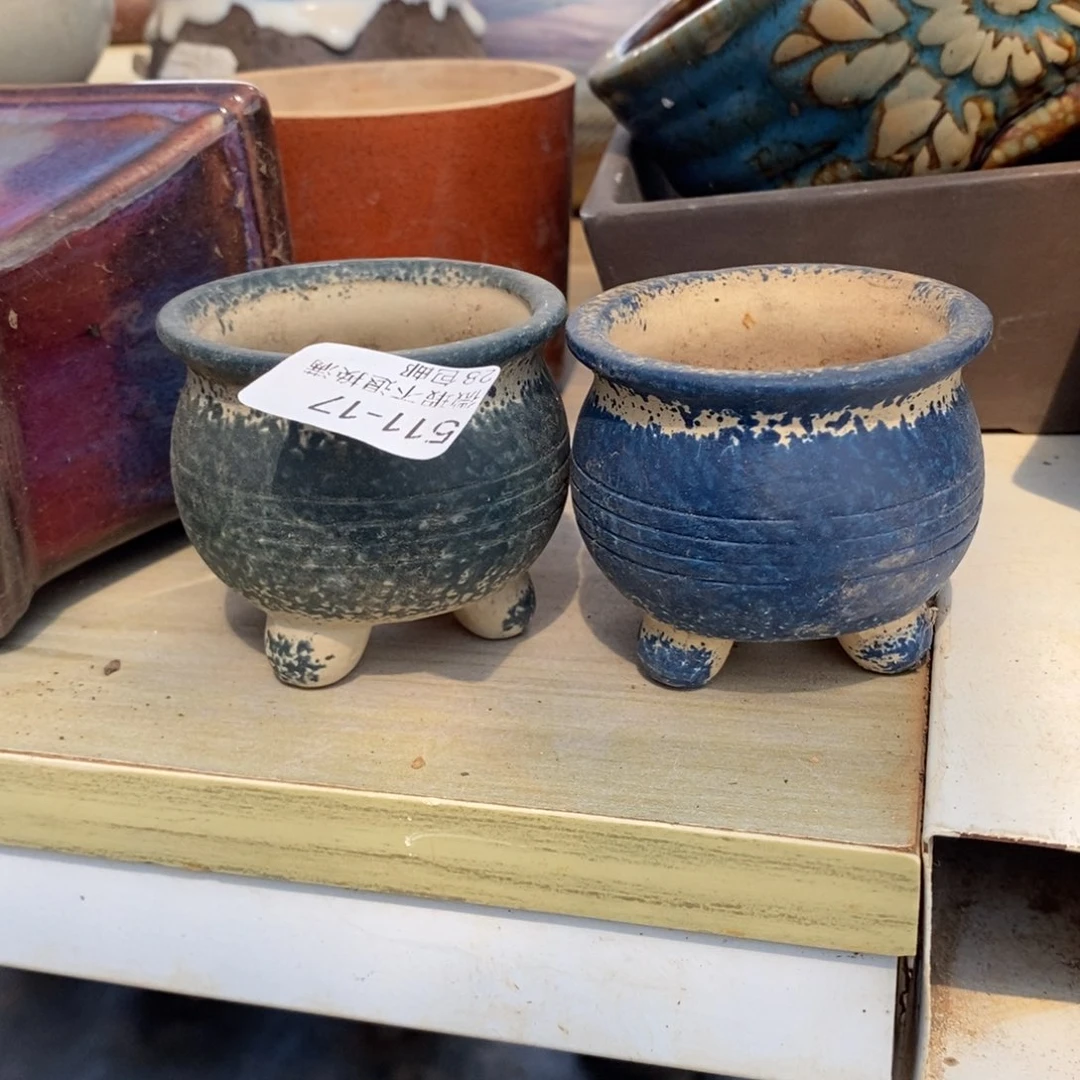 春*里17号多肉盆两个呀