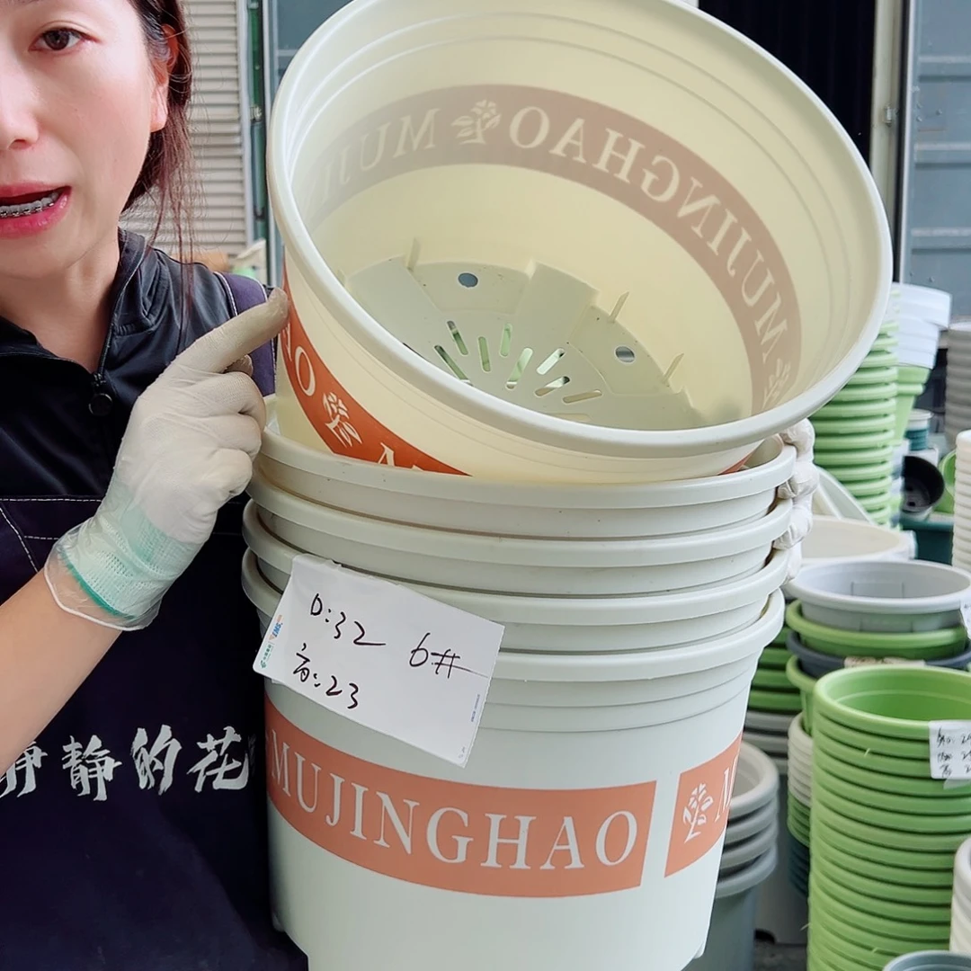 矮胖6#米白5个无托