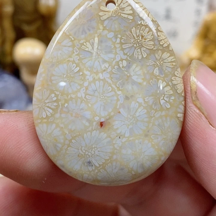 颈饰未镶嵌硅化珊瑚（珊瑚玉）