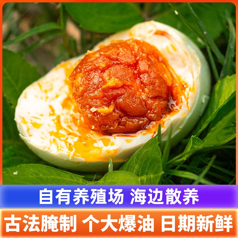 广西北部湾红树林烤海鸭蛋即食鲜香烤制咸裸蛋松沙流油特产送礼