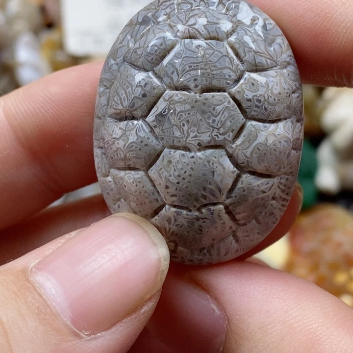 硅化珊瑚（珊瑚玉）颈饰未镶嵌