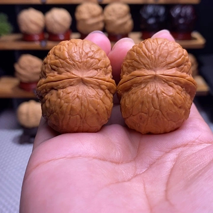 木质类云铁寿星元宝18号