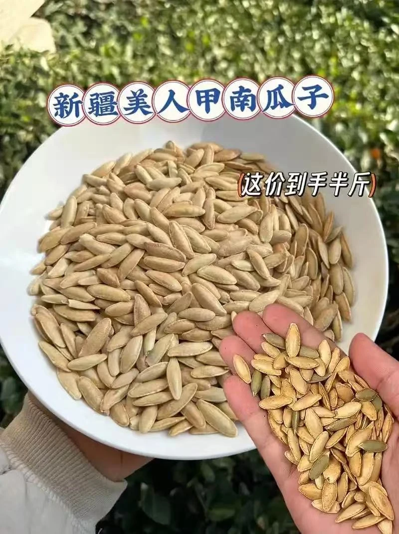 长粒南瓜子炒货美味美人甲南瓜子