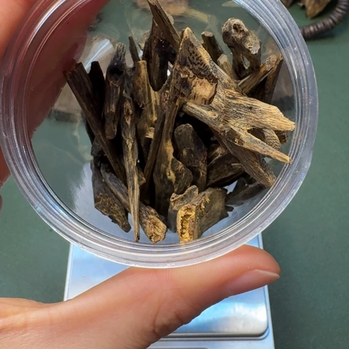 沉香手把件海南乌身圆叶树心油沉水老料54克