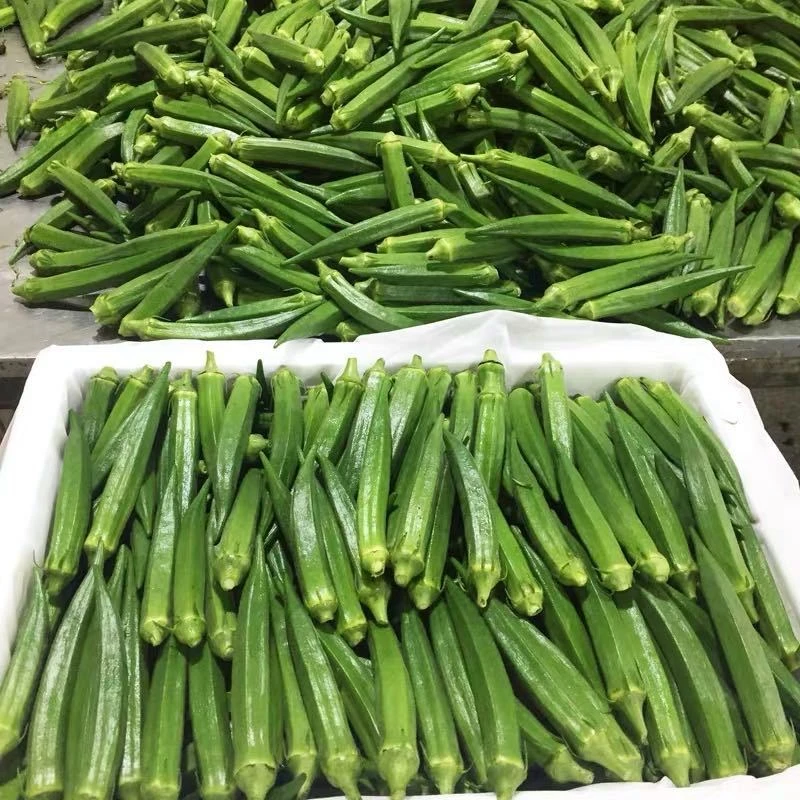 秋葵新鲜蔬菜水果黄秋葵羊角豆凉拌现摘秋葵批发鲜嫩多汁当季
