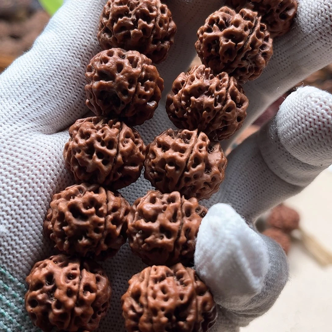 金刚菩提手串烟***南21老籽五星双龙