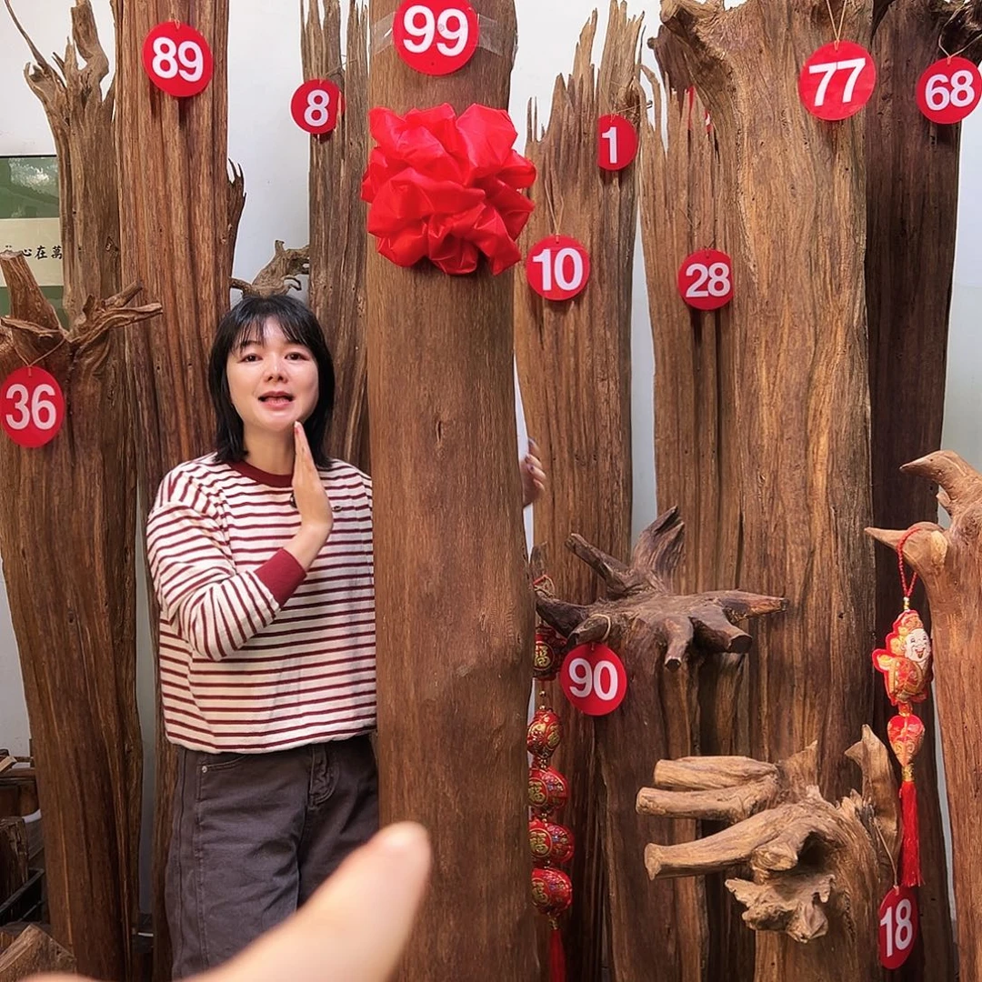 车***王摆件沉香天然沉香原材料高品质