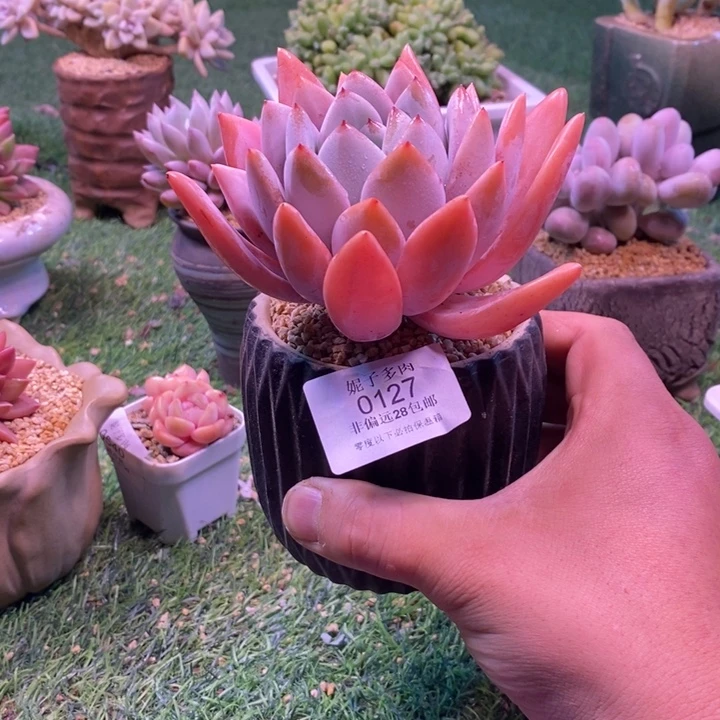 0127啊啊啊啊啊啊啊啊啊啊