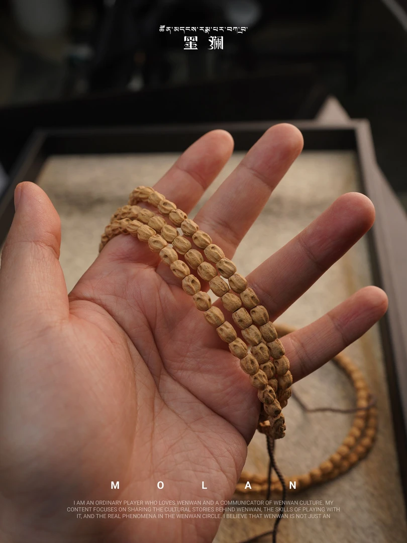 墨斓热振高桩鬼百香籽手工文玩长串120颗 毕业级三日红