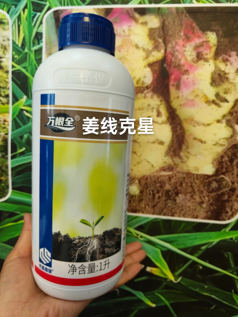 姜线克星  一升阿维B2乳油，一亩地1～2瓶。