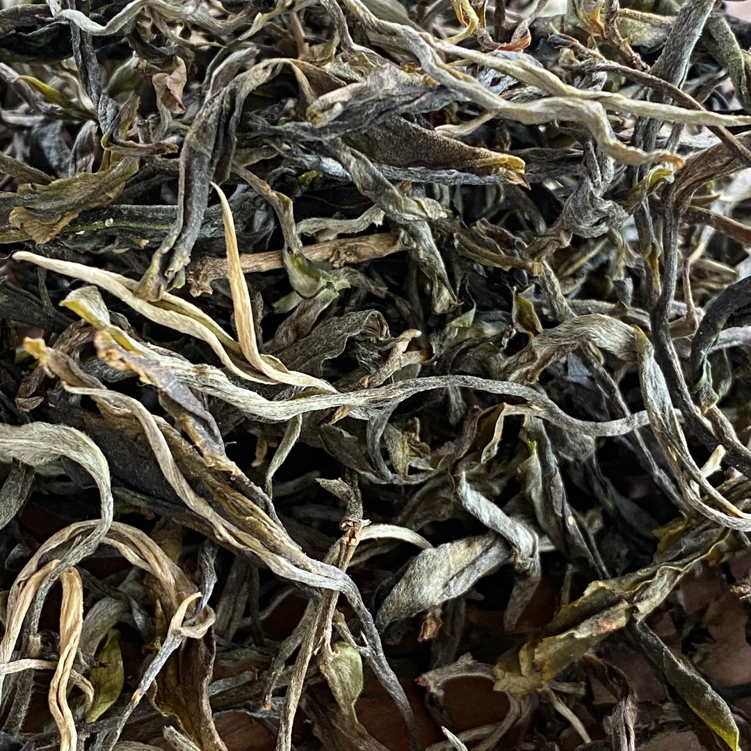 2025年易武茶区倚帮架布【头春】乔木普洱生茶晒青毛茶优选茶区