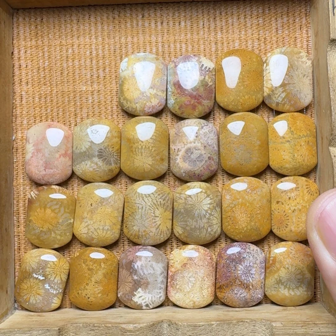 未镶嵌纯天然色有机玉石保真色硅化玉22片