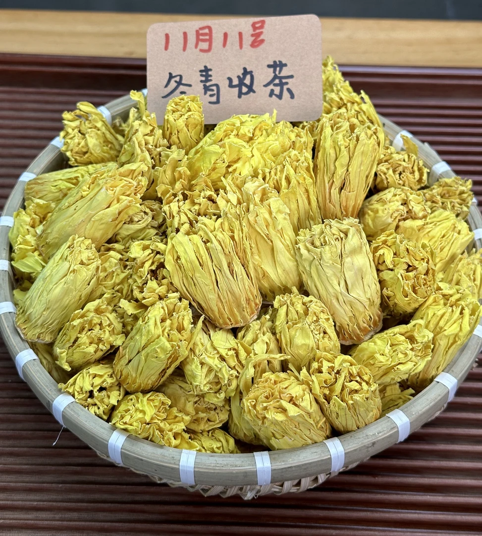 9A级九品香莲花 海南儋州核心产区  朵朵肥嫩 秋冬必备