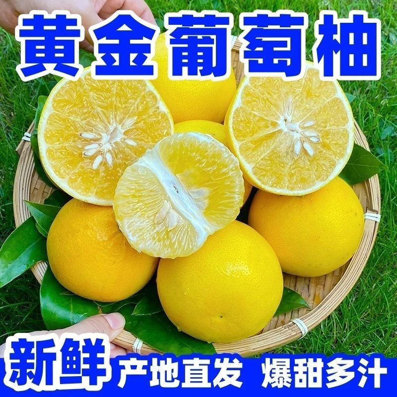 【产地直发】福建葡萄柚新鲜应季水果清甜多汁果园现摘现发