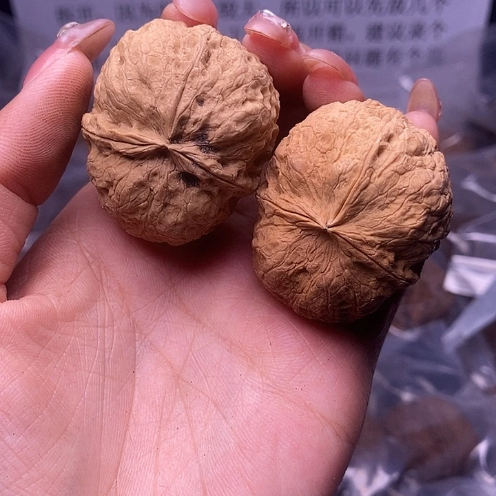 核桃云南野生铁核桃64号42mm