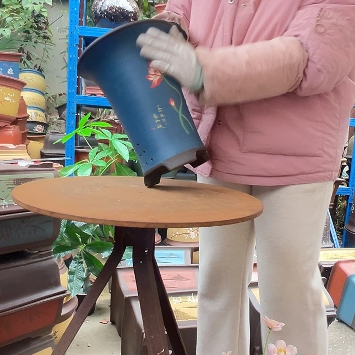 蓝色一年花开大花盆