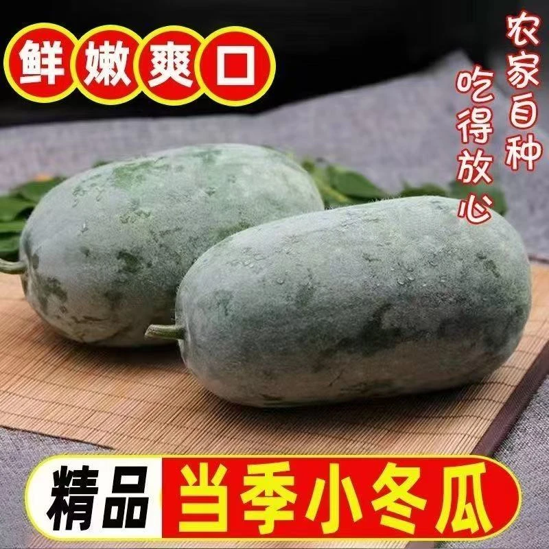 HX【到手九斤】新鲜小冬瓜挂霜水果冬瓜迷你冬瓜新鲜蔬菜4-5斤