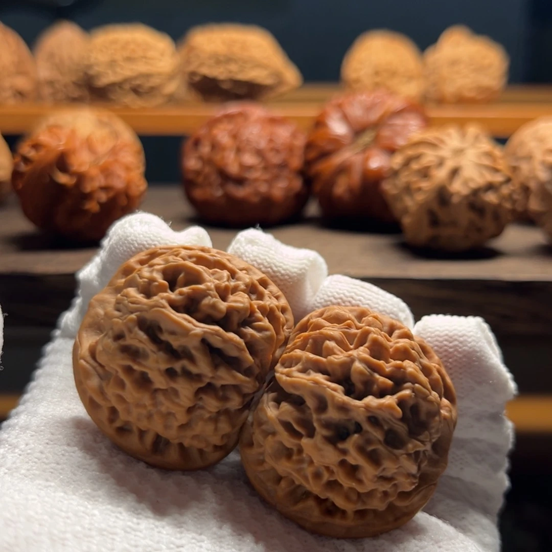 L***k35尺寸太行山秦闷狮子头