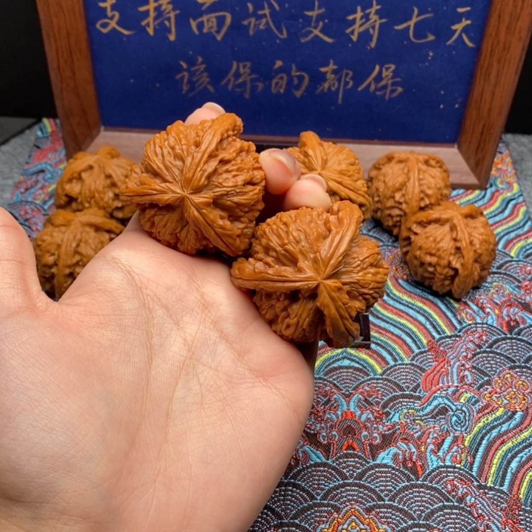 【闪购商品】?白狮