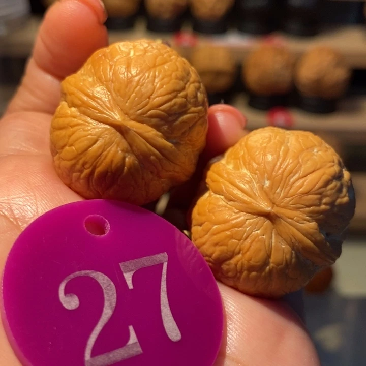 帝王蛇皮球32尺寸