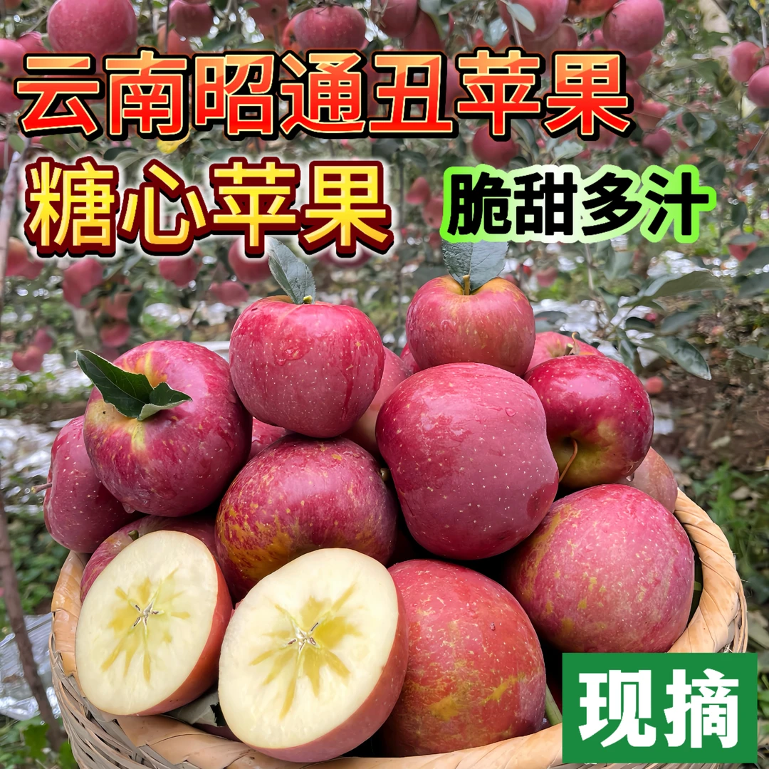 云南昭通正宗冰糖心苹果丑苹果高原山地现摘脆甜水果新鲜苹果