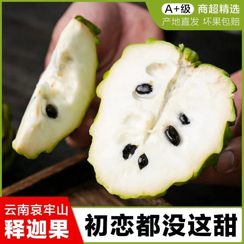 云南高山释迦果热带水果凤梨香牛奶释迦果新鲜采摘（放软再吃）