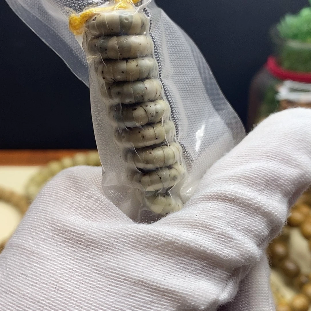 星月菩提手串Gggggg