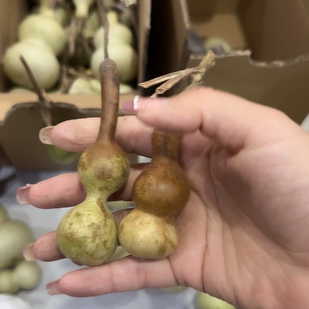 薺***生葫芦干活古古惑惑v回家好好